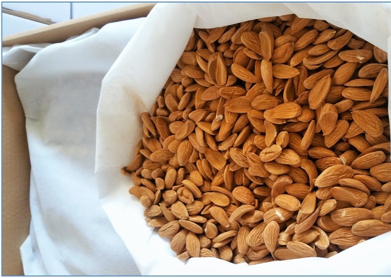 Major exports of Iranian Mamra almond kernels to the UAE