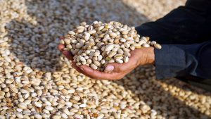 Iran Pistachio Seller Trading Company/Nutex Company