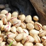 Buy Iranian Fandoghi pistachios at factory price