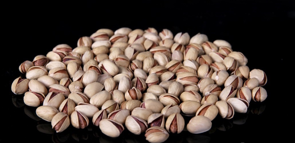 Buy bulk Fandoghi pistachios in Rafsanjan and Khorasan