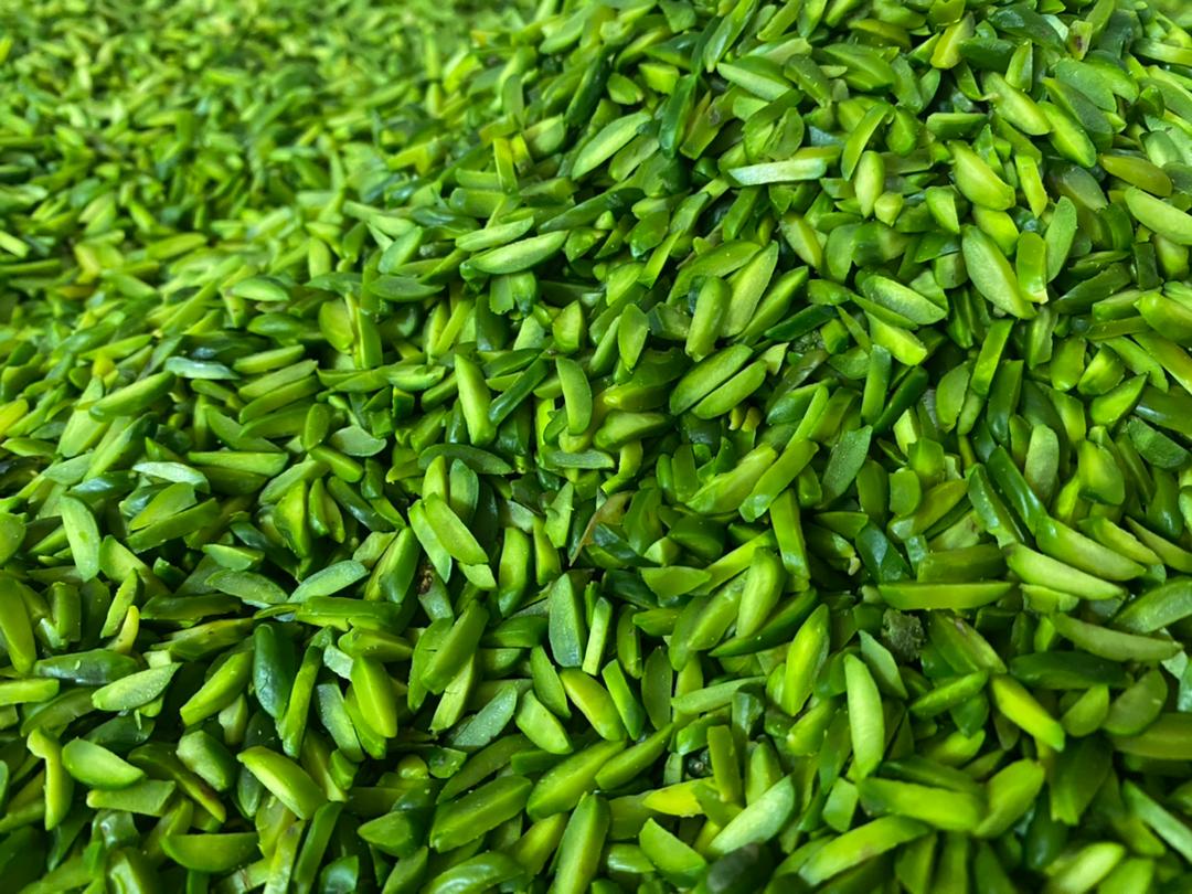 Seller of pistachio slices in the UAE/ Nutex Iranian pistachio