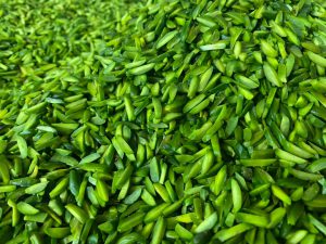 Bulk Slivered Pistachios Price