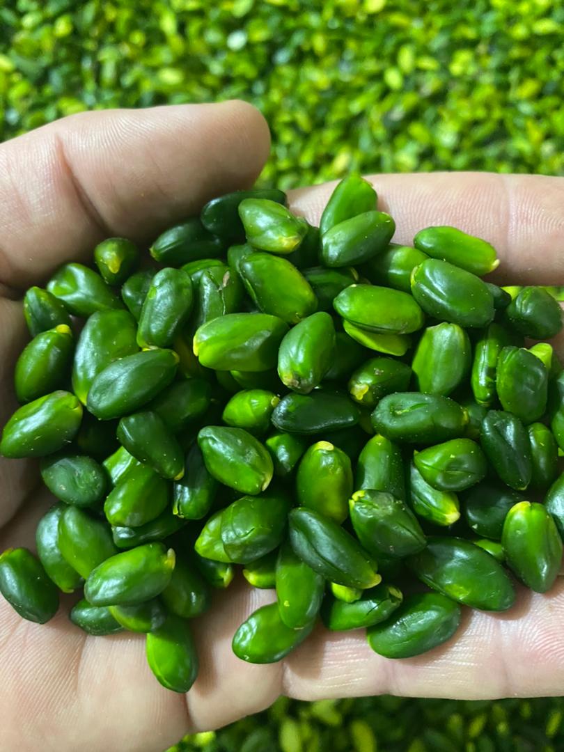 Iranian Green Peeled Pistachio Kernels Export/Import