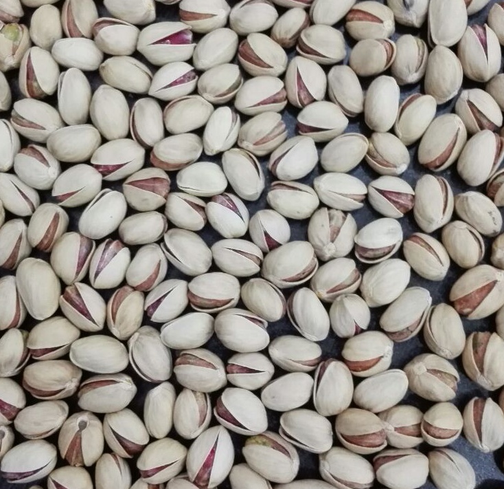 Buy pistachios in bulk / Iranian Pistachio Nuts