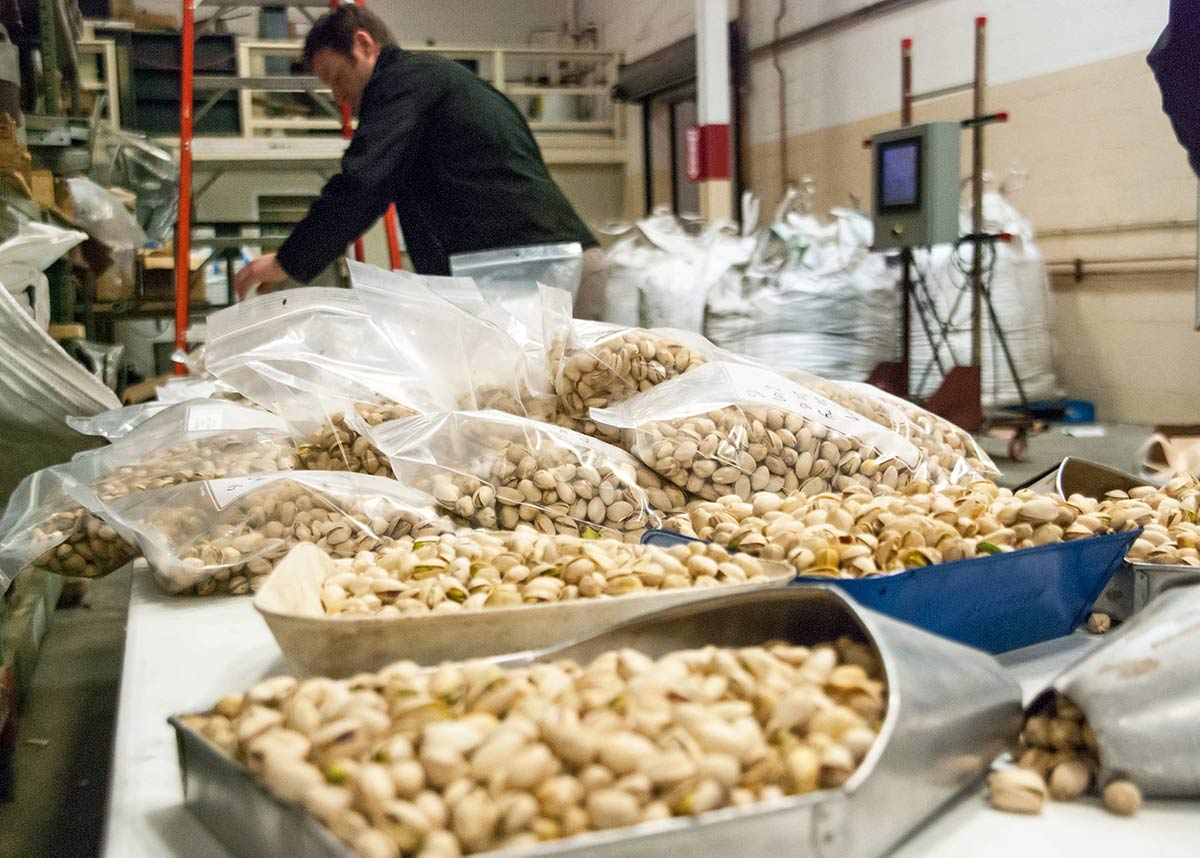 Processed pistachio production factory 