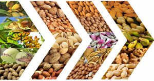 The largest pistachio site and shopping center for dried fruits