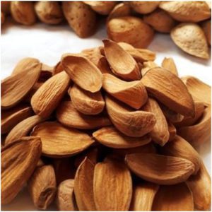 Nutex Company , exporter of Iranian Mamra almonds