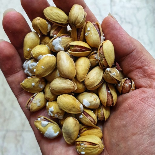 Special sale of Iranian salted pistachios in Turkmenistan