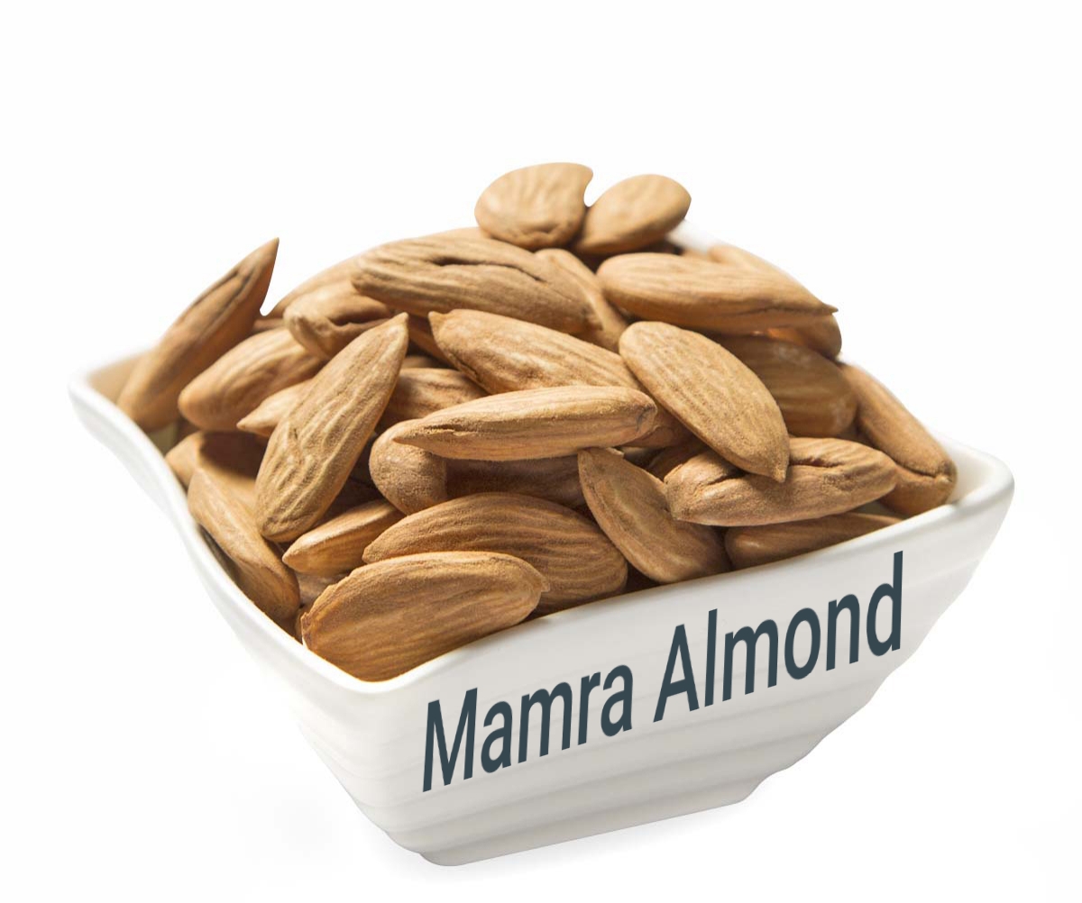Method of recognizing Mamra almonds from other types of almonds