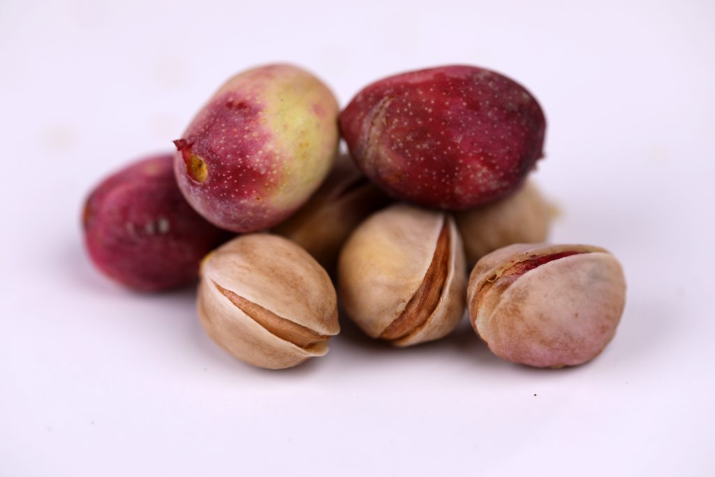 Wholesale raw Fandoghi pistachios | Round Pistachio Nuts