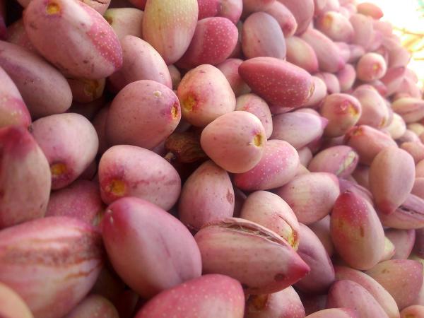 The best type of Iranian pistachio for export to Kazakhstan