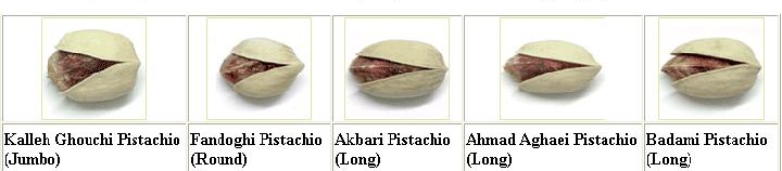 Types of pistachios produced in Iran