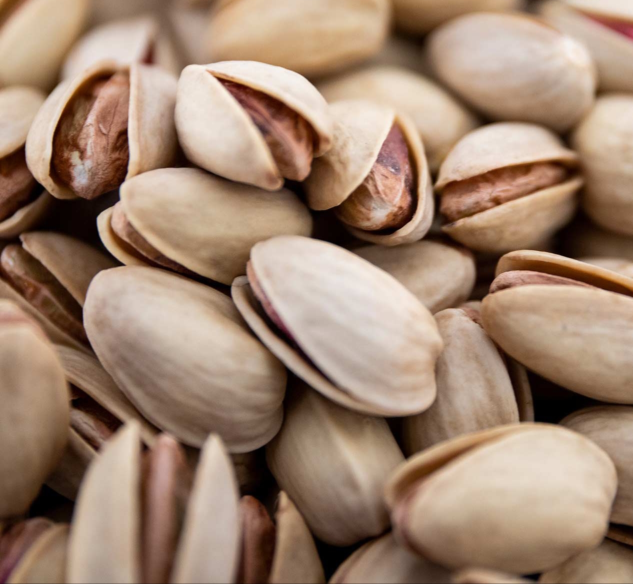 Exporter of Iranian pistachios to the UAE | Nutex Company