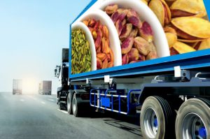 Nutex Trading Services