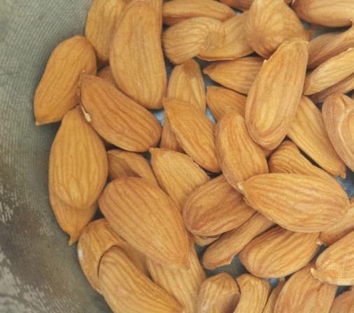 Features of Mamra Almond