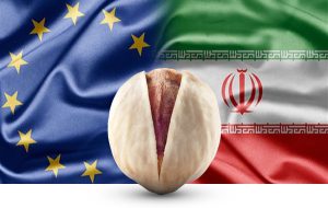 Major export of long and round pistachios to UAE
