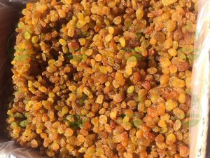 Prices of export Iranian raisins in Iraq | Nutex raisins