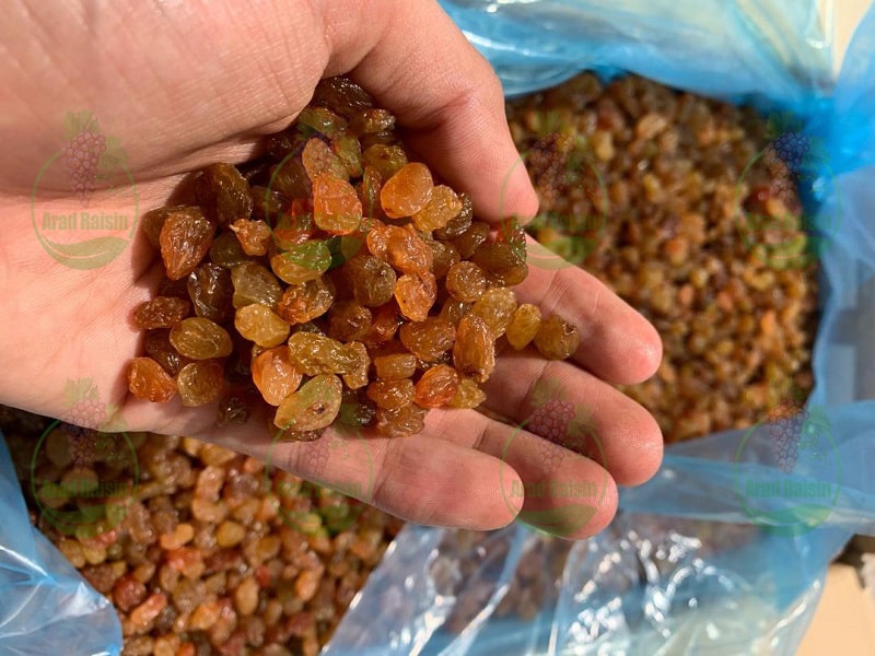  The price of raisins suitable for export to Iraq