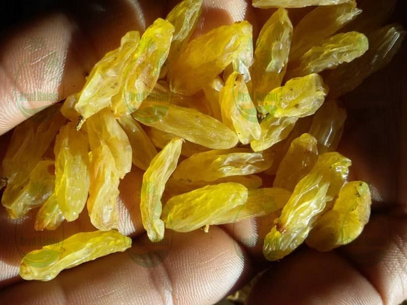  The price of golden raisins for export