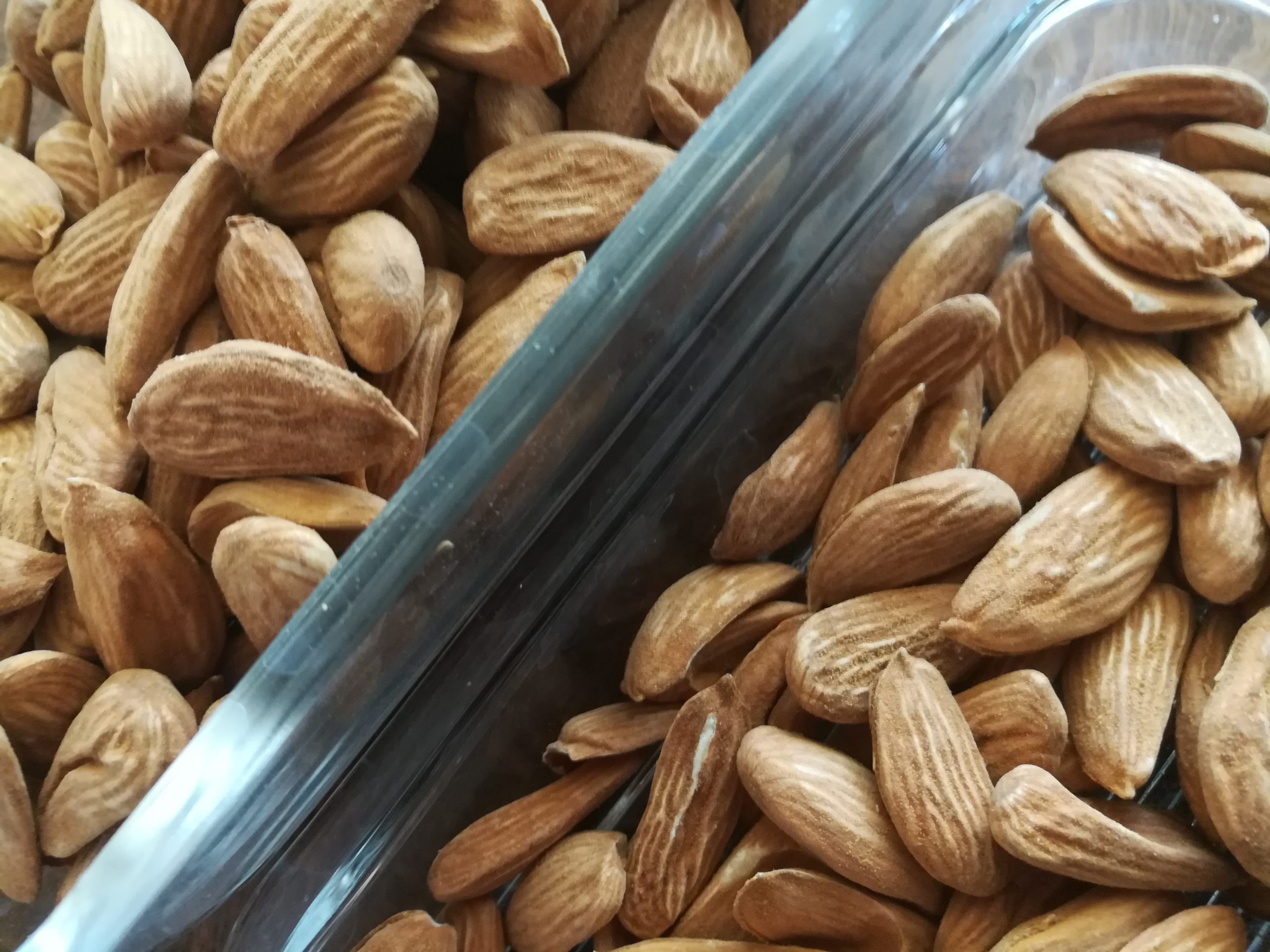 Determining the price of products in the export center of first-class Mamra almonds