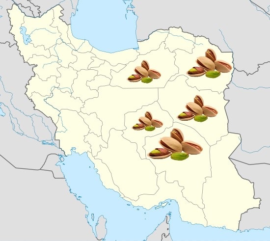 Iran Pistachio Center in terms of production and processing