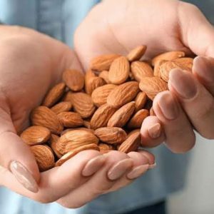 Production and export of Mamra almonds to Qatar, India and Dubai