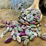 Export of Iranian pistachio kernels to Germany