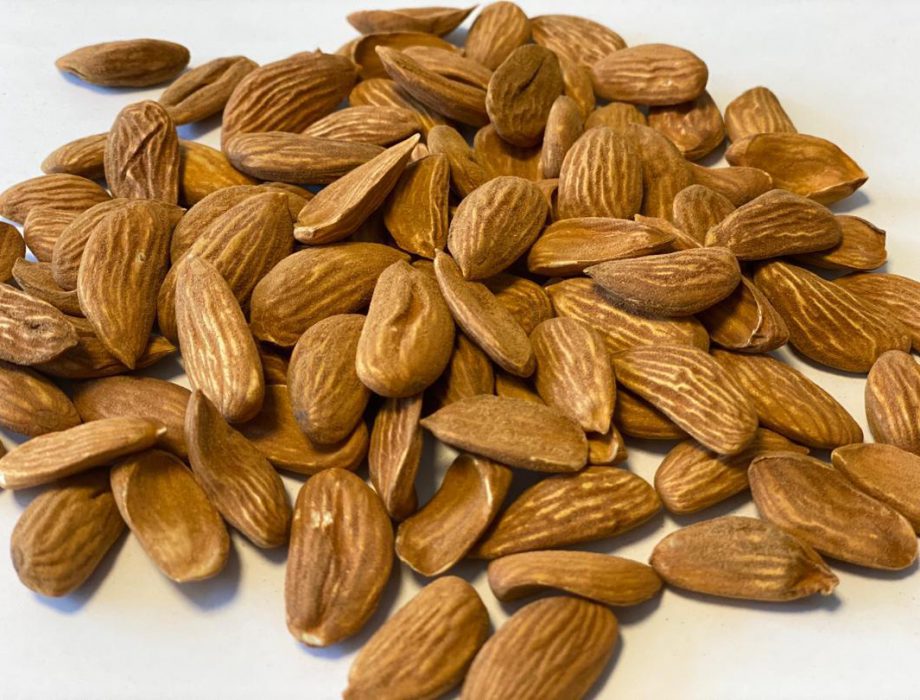 Prices of Mamra almond kernels