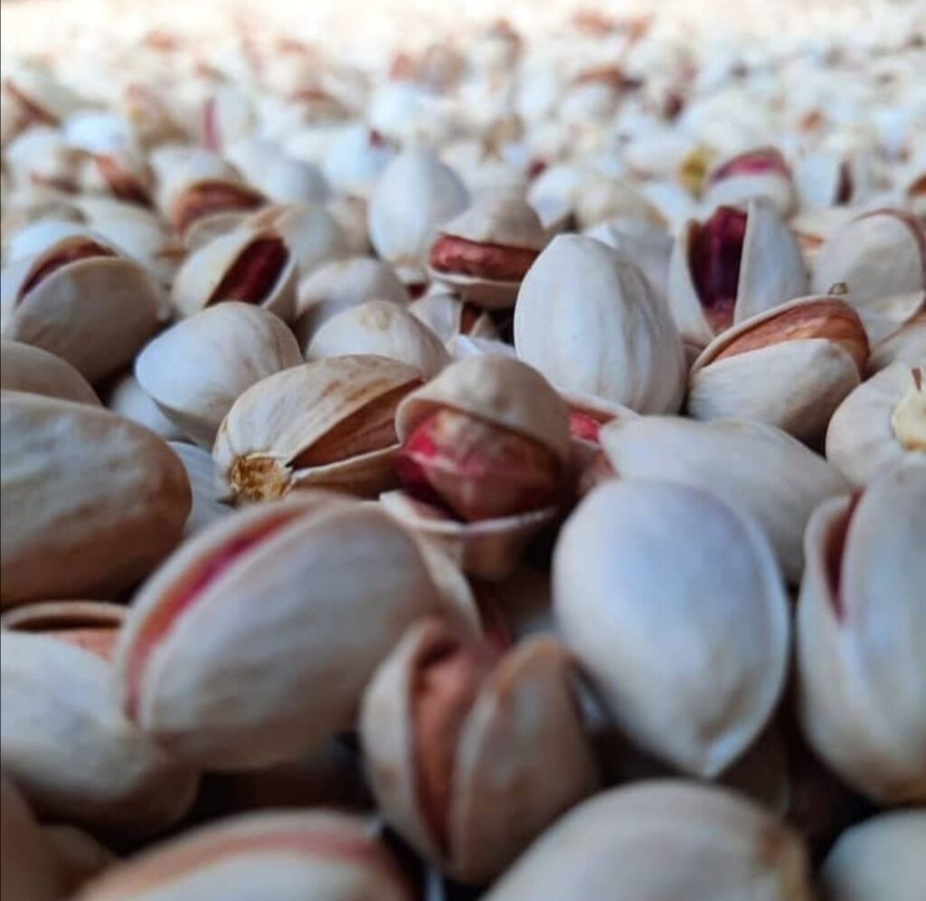 The amount of Iranian pistachio exports to Syria