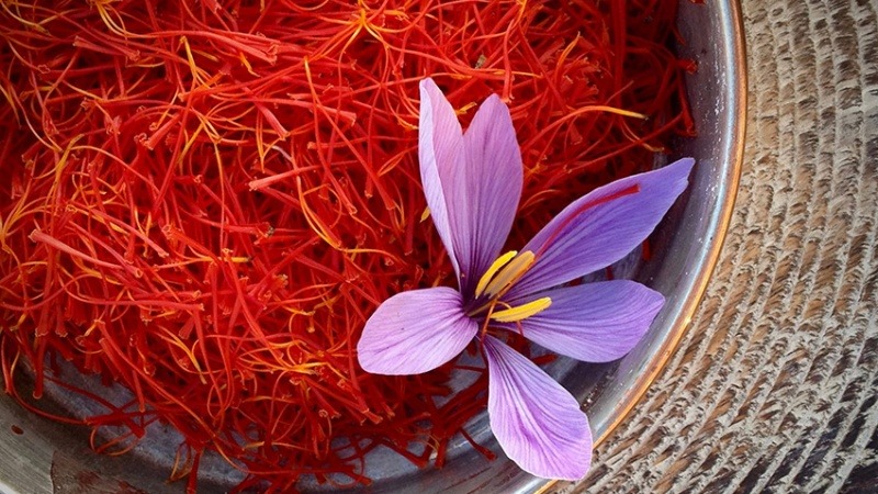 Who are the buyers of Iranian saffron in Turkey?