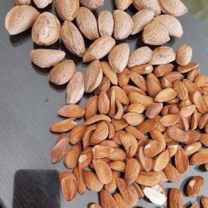 Characteristics of Mamra almonds