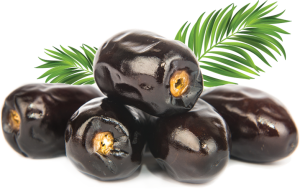 Export of dates from Iran to India | Nutex Company