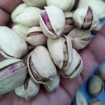 Sale price of pistachios for export to the UAE