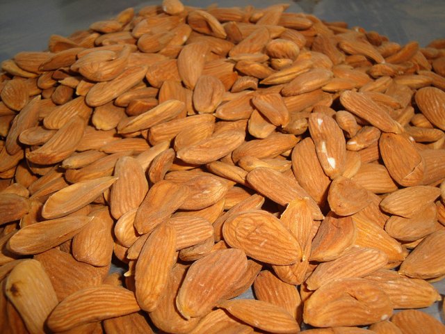 Exporter of Iranian Almonds