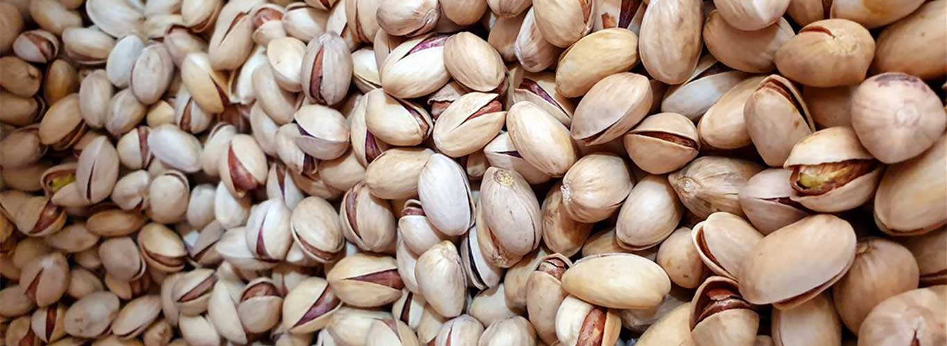 Sale of pistachios for export / import to Dubai in Nutex company