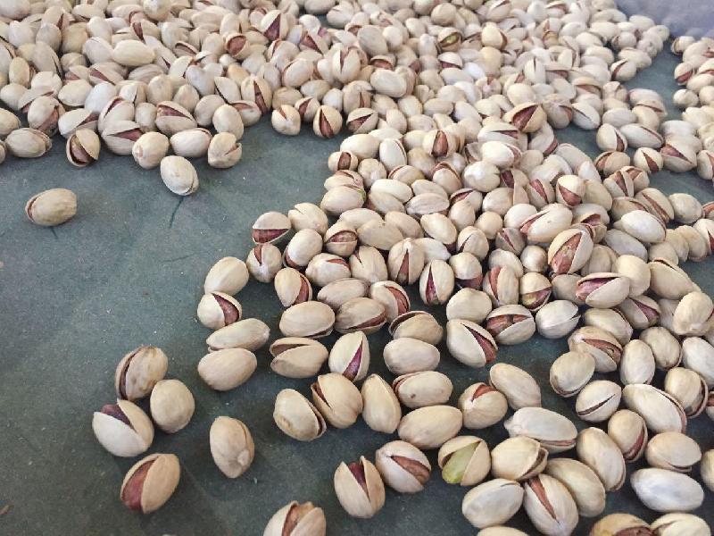 Type of pistachio exported from Iran to Germany