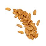 Direct sale of Mamra almond kernels