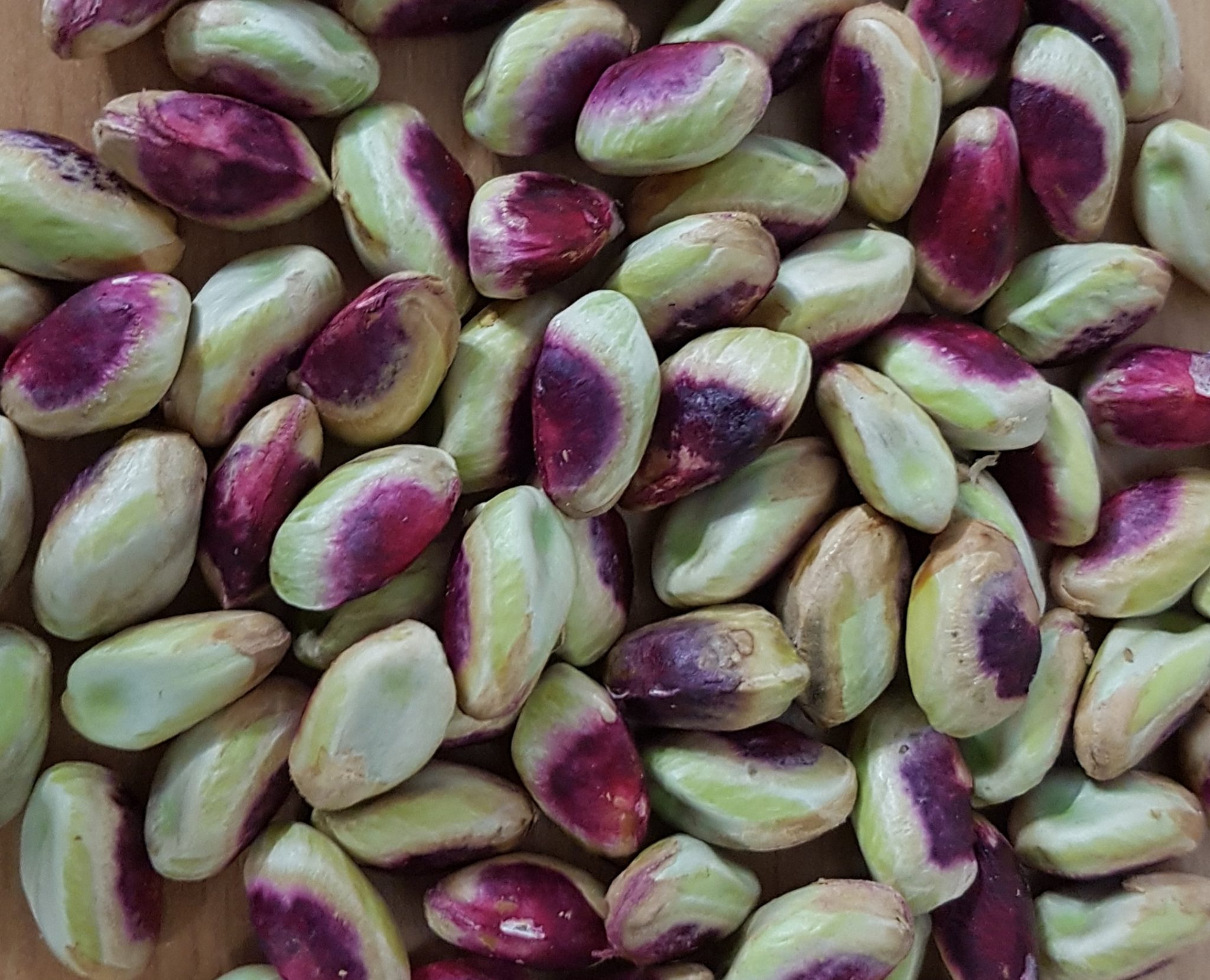 Iranian pistachio kernel price | Nutex Company