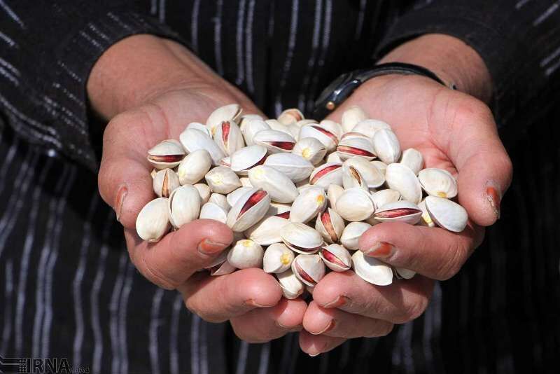 What is the selling rate of Ahmad Aghaei Rafsanjan pistachios?