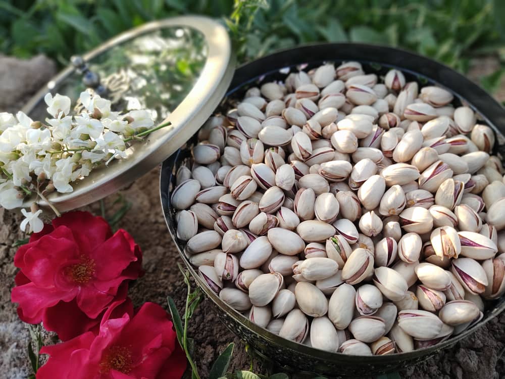What is the most common type of Iranian pistachio?