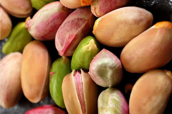 Pistachio harvest season in different provinces of Iran