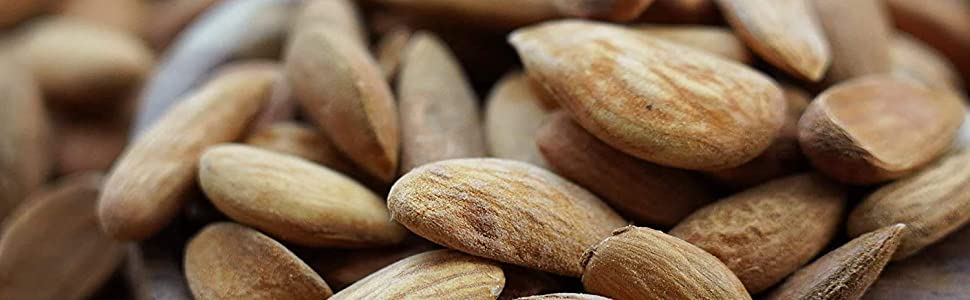 Sales of first-class Mamra almonds in Russia in bulk