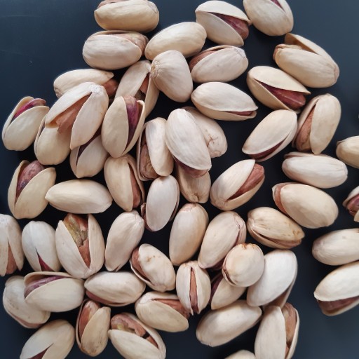 Export of pistachios from Iran to Pakistan