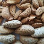 Daily price of Mamra almond kernels | Iranian Nuts