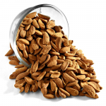 Supply of Mamra almonds in Arab countries | Almond exporter company