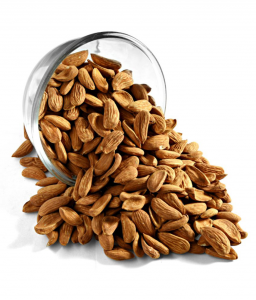 Supply of Mamra almonds in Arab countries | Almond exporter company