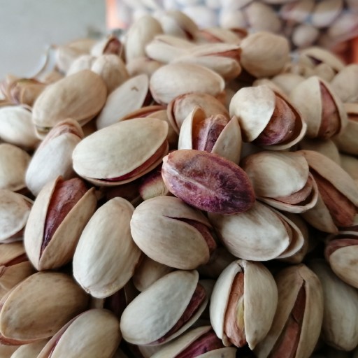 Wholesale pistachios to Spain