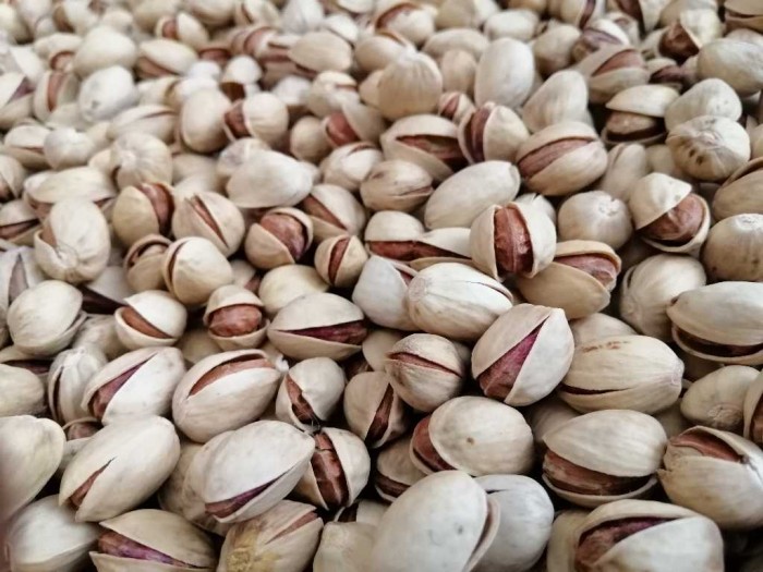 Selling first-class Fandoghi pistachios