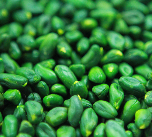 Buy Iranian green pistachio kernel in Turkey | Nutex