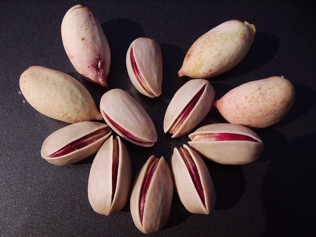 Tips for exporting Ahmad Aghaei pistachios to the UAE: